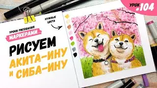 Как нарисовать акита-ину и сиба-ину? / Видео-урок по рисованию маркерами 