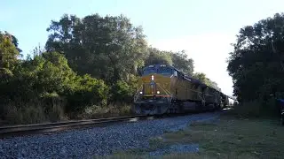 Fast B631 in Brandon FL