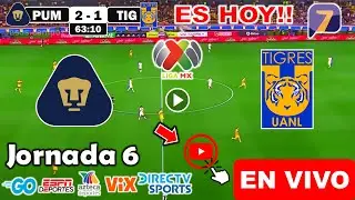 Pumas vs. Tigres en vivo, donde ver, a que hora juega Pumas vs. Tigres Apertura 2024 Liga MX hoy