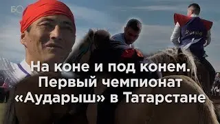 На коне и под конем. Первый чемпионат по борьбе на лошадях «Аударыш» в Татарстане