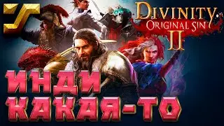 Divinity: Original Sin II #10