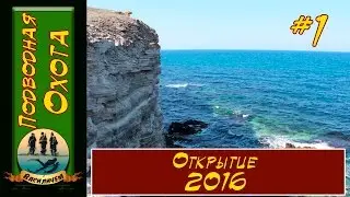 ПОДВОДНАЯ ОХОТА в Крыму 2016. Открытие