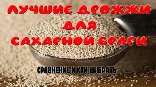 Лучшие дрожжи для сахарной браги. Какие дрожжи выбрать для обычной сахарной браги