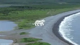 Тихие пастбища под небесами Благодатного 🌿🦌