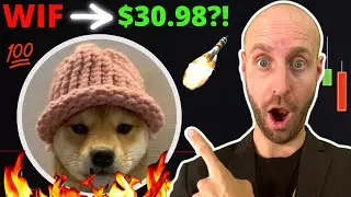 🔥I Bought 33.582 DOG WIF HAT (WIF) Crypto Coins at $2.97 Today?! Turn $100 To $1K?! (URGENT!!!)