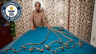 Longest Fingernails On One Hand EVER - Guinness World Records