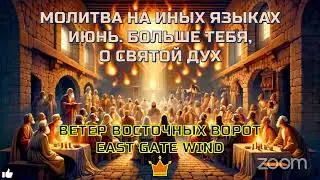 🕊🛐🕎 МОЛИТВА НА ИНЫХ ЯЗЫКАХ 🗓🙏🏼📆 ИЮНЬ. БОЛЬШЕ ТЕБЯ, О СВЯТОЙ ДУХ 🕎🛐🕊