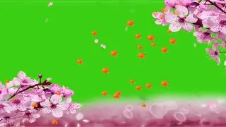 Free Green Screen Footage | Flowers Falling Animation | Flowers Effects
