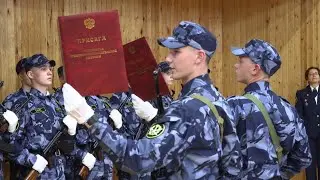 Присяга ВЮИ