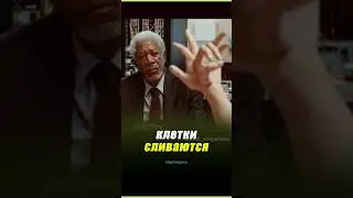 Реальность начинается у нас внутри ⚡