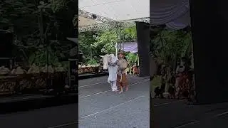 Gumbreg as animal Eid. Javanese cultural tradition