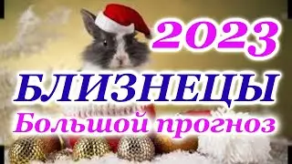 БЛИЗНЕЦЫ - ТАРО ПРОГНОЗ на 2023 год - ГОДОВОЙ ПРОГНОЗ - ГОДОВОЙ РАСКЛАД 12 ДОМОВ - РАСКЛАД на ГОД