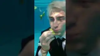 А4 ест еду под водой