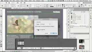 Reuse Content With Ease with Adobe InDesign's Content Conveyer Tools