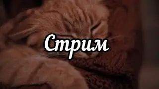 Вечерний стримчик) Можете задавать вопросики)