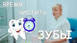 КОГДА НУЖНО ЧИСТИТЬ ЗУБЫ? СКОЛЬКО РАЗ НУЖНО ЧИСТИТЬ ЗУБЫ?