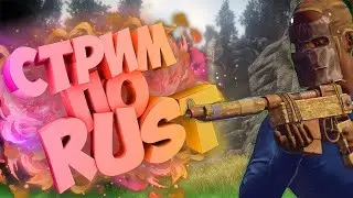 Стрим с вебкой РАСТ ЗАХВАТ СЕРВЕРА rust stream