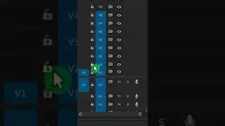 USE TRACK LOCK | Premiere Pro 
