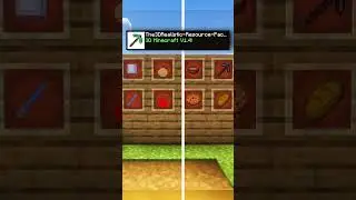 Minecraft Best Resource Pack in 3D Comparison 