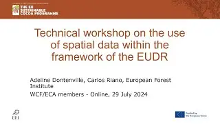 Webinar: Use of national forest and land-use data in the context of EUDR due diligence