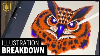 Drawing an OWL - Procreate ILLUSTRATION Walkthrough