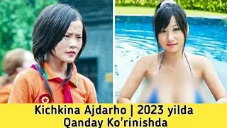 Kichkina Ajdarho | 2023 yilda Bular Qanday Ko'rinishda