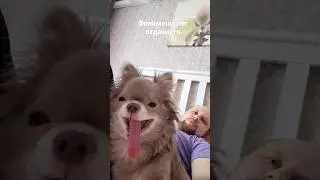 Филимоша. отдых. 