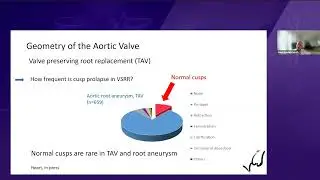 14. The evolution of Aortic Valve Evaluation & Repair - Prof. Hans-Joachim Schäfers