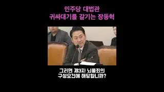 민주당 대법관 귀싸대기를 갈기는 장동혁