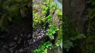 Палюдариум🔥 