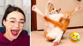 Funniest Cats And Dogs Videos 😸🥰  - Best Cute And Funny Animals 🐶