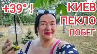 Адская ЖАРА! Куда уехать из Киева? Советы для отдыха. Мой кот Сэм в жару / Украина 2024