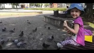 Алиса ходила в поликлинику. Там ей сделали прививку. Потом мы решили отдохнуть и покормить голубей.