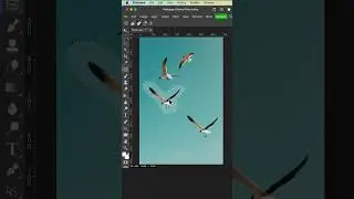 Moving Objects with Content Aware Move Tool in Photopea