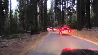 Дорога из Sequoia National Park в Kings Canyon к священной  горе индейцев 15 09 2012