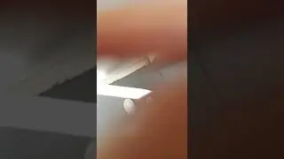 Интернет мне необходим, поэтому я переплачиваю за него. Но почему нет чеков??? Ну и нда.....