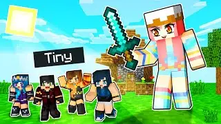 Were TINY Minecraft Players...