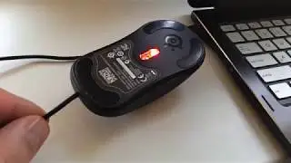 Fix gaming mouse Steelseries Kinzu V2
