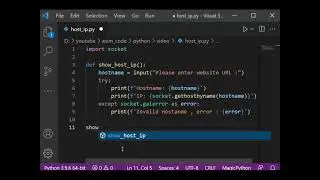 How to Get the Ip address and Hostname of Website In Python