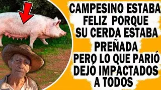 Campesino Esta Feliz Pues Su Cerda Pariría Muchas Crías Pero Luego Queda Impactado Con Lo Que Parió