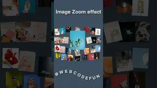 Image gallary zoom in zoom out effect using html css js #frontenddeveloper #uidevelopment #image