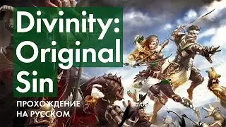 Создание Персонажей и Начало Приключения ➤ Прохождение Divinity: Original Sin Enhanced Edition