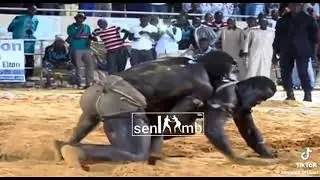Serigne NDIAYE vs FRANC