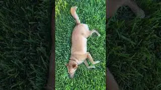 Relax