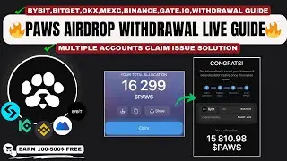 PAWS Airdrop Bitget and Bybit Process Withdrawal Guide || Paws Multiple Accounts Withdrawal Solution