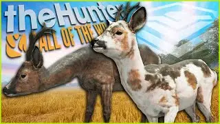 I Hunted Roe Deer For 7 DAYS STRAIGHT & Got Diamond & Rare Trophies! Call of the wild