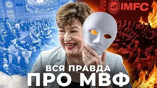Is the IMF a robber or a savior of the world?
