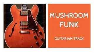 Mushroom Funk Guitar Backing Track in B