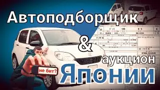 Купил, проверил. Что в ИТОГЕ? История покупки авто из Японии.