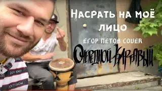 Насрать на моё лицо (Егор Летов cover)